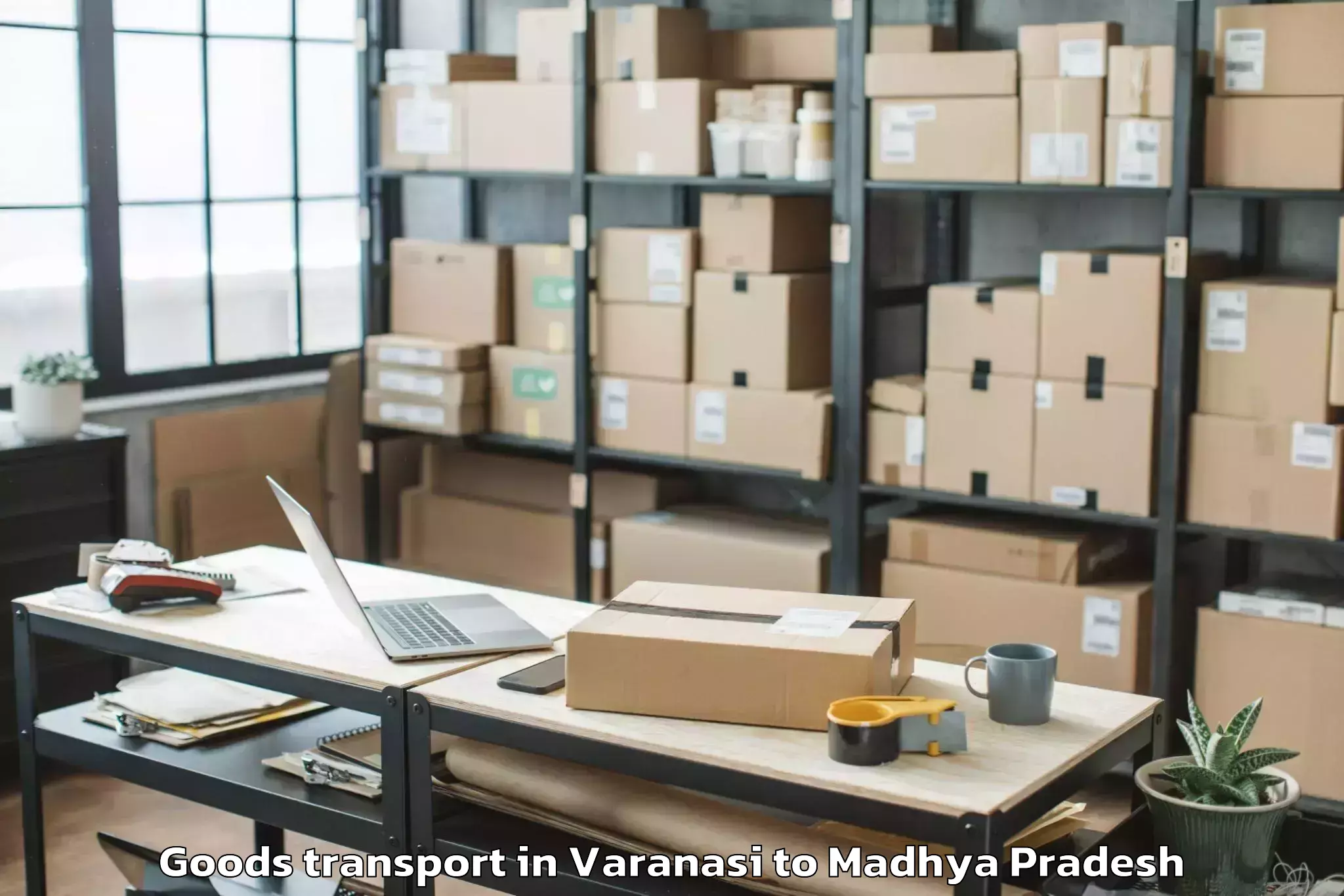 Quality Varanasi to Porsa Goods Transport